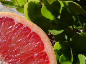 beneficiile fructului pomelo